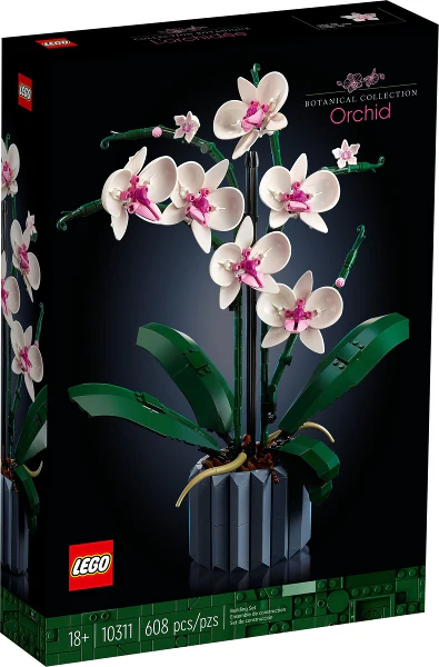 10311 - Orchid - EMPTY BOX ONLY - Image 2