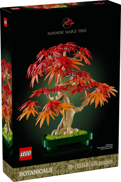 10348 - Japanese Maple Tree - EMPTY BOX ONLY - Image 2