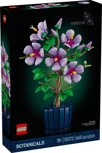 10372 - Hibiscus - EMPTY BOX ONLY - Image 2