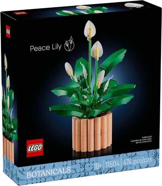 11504 - Peace Lily - EMPTY BOX ONLY - Image 2