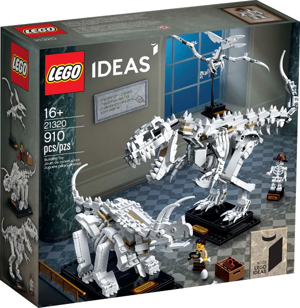 21320 - Dinosaur Fossils - EMPTY BOX ONLY - Image 2