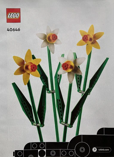 40646-Daffodils - INSTRUCTIONS ONLY