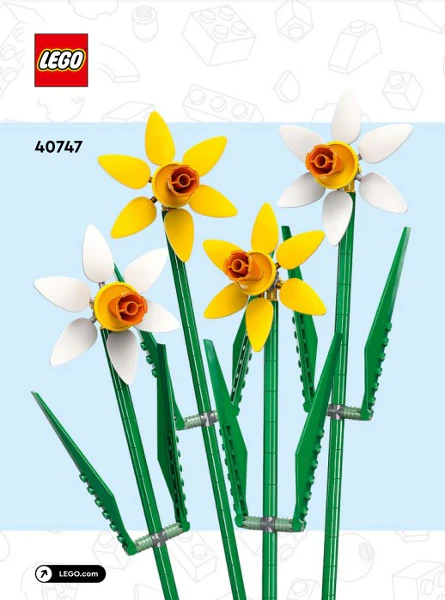 40747-Daffodils - INSTRUCTIONS ONLY