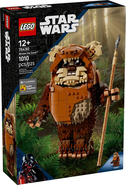 75430 - Wicket the Ewok - EMPTY BOX ONLY - Image 2