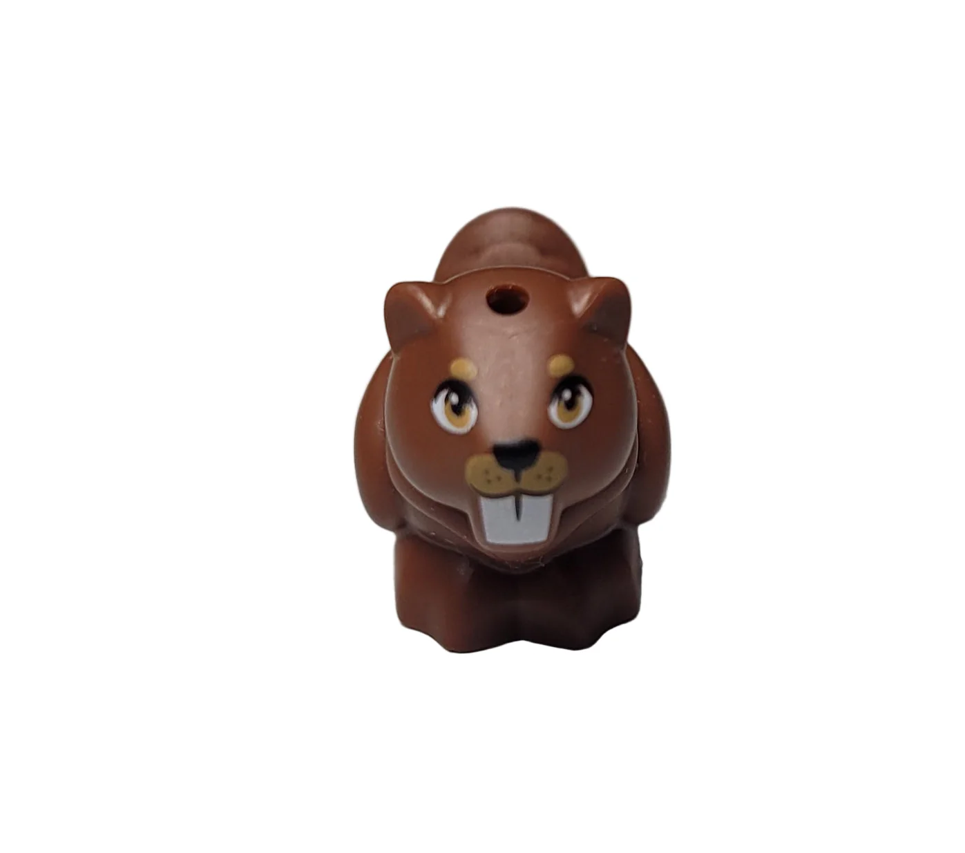 Beaver, 5553pb01 - Image 2