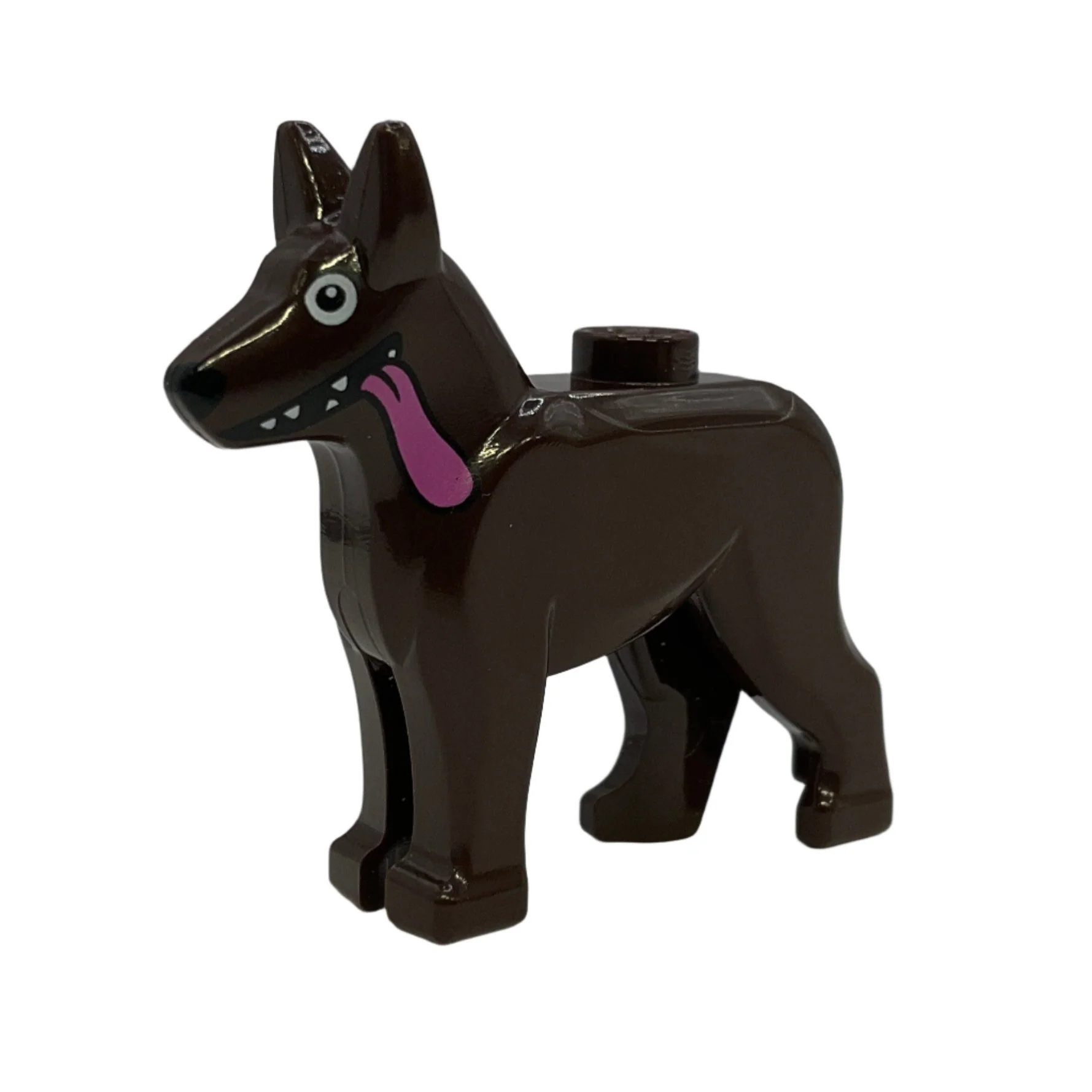 Dog, Alsatian / German Shepherd (Dante)