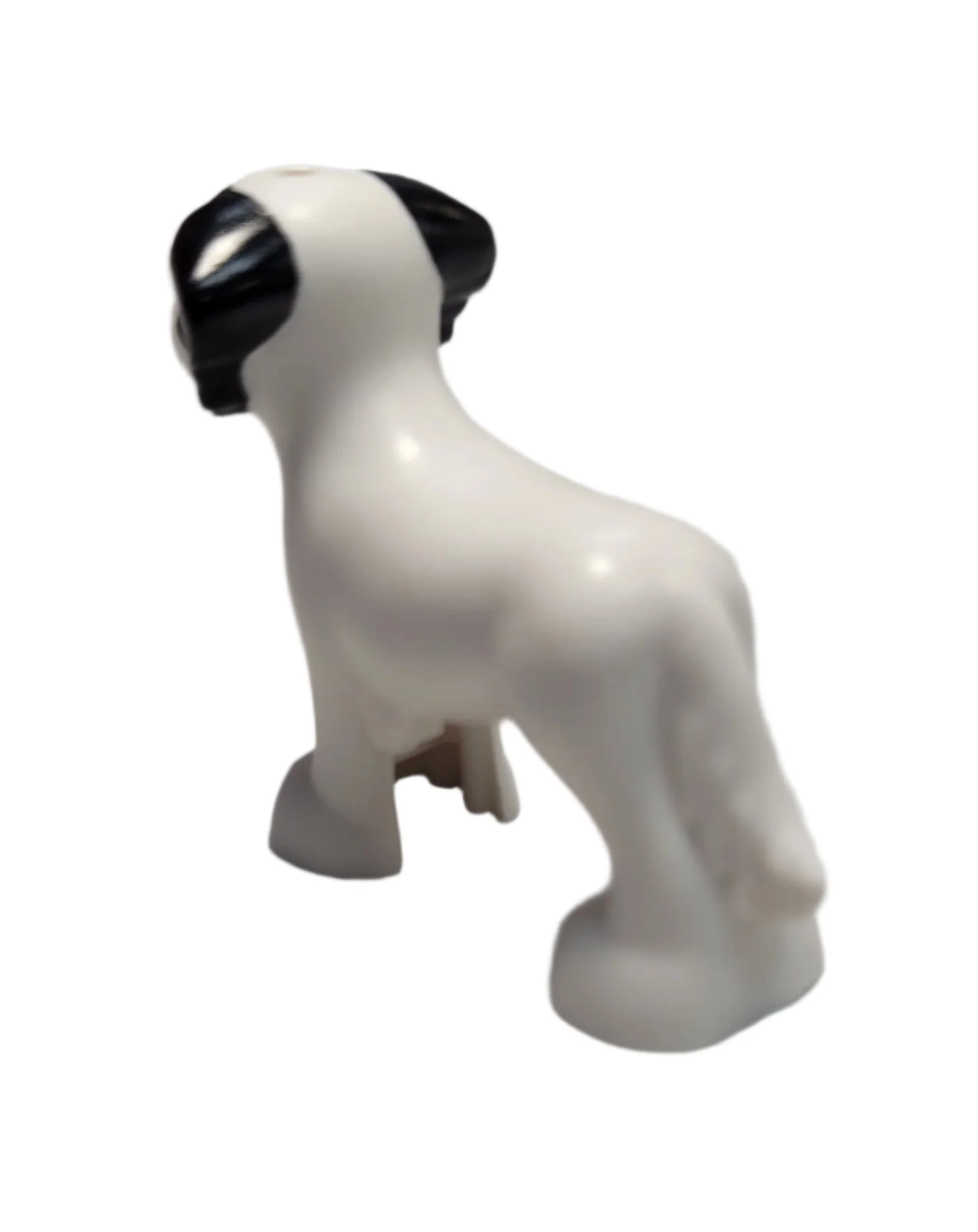 Dog with Shaggy Fur, 3168pb02 - Image 3