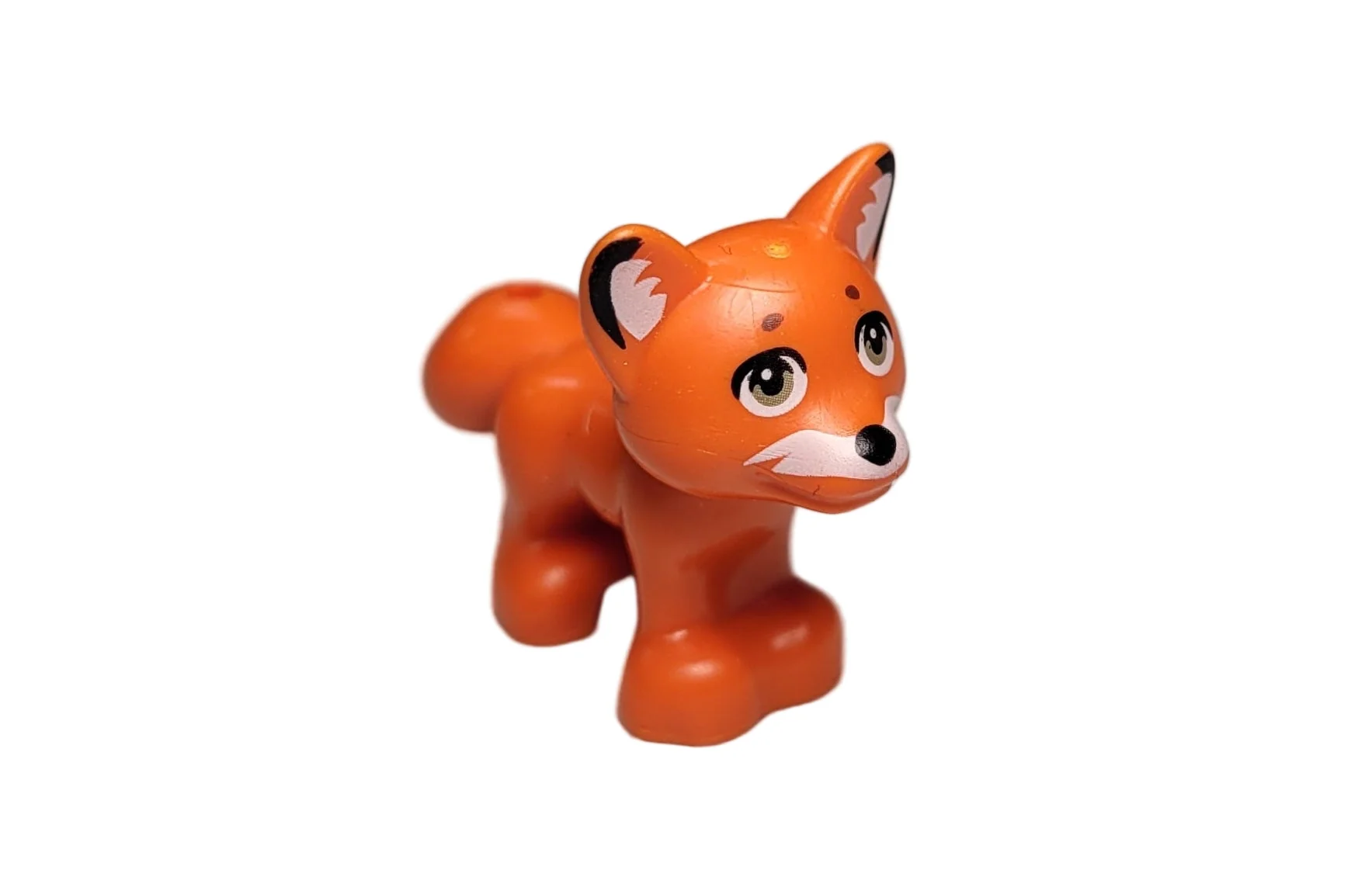 Fox, 19532pb07