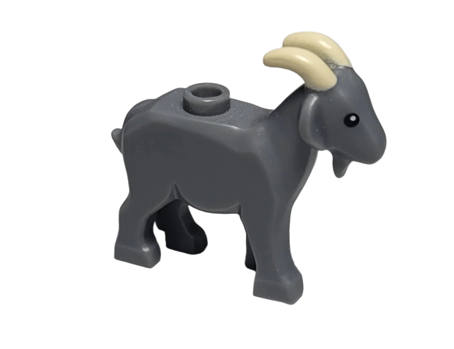 Goat, 95341pb03