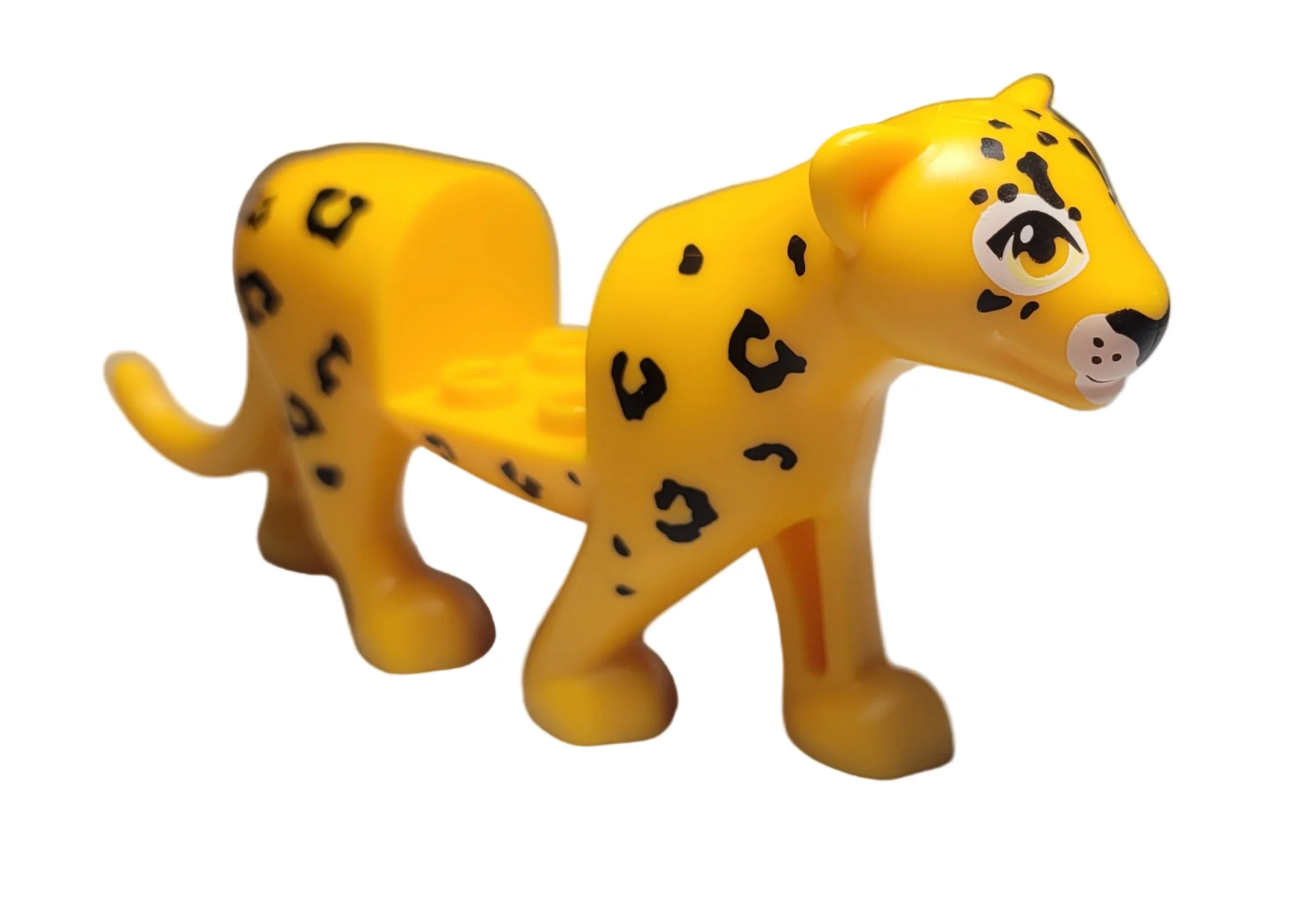 Jaguar (Parce) - bb1256pb02