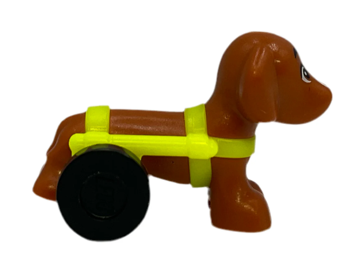 Pickle, Dachshund with White Bubbles on Nose and Neon Yellow Wheelchair Harness - Image 3