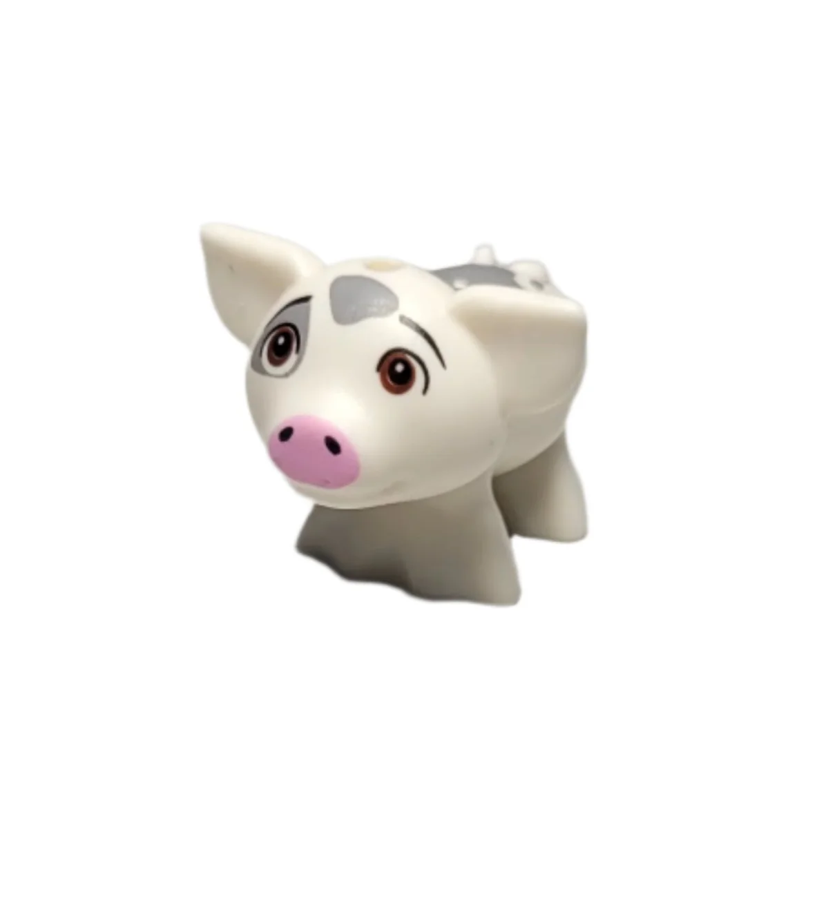 Pua (looking up), 28318pb03