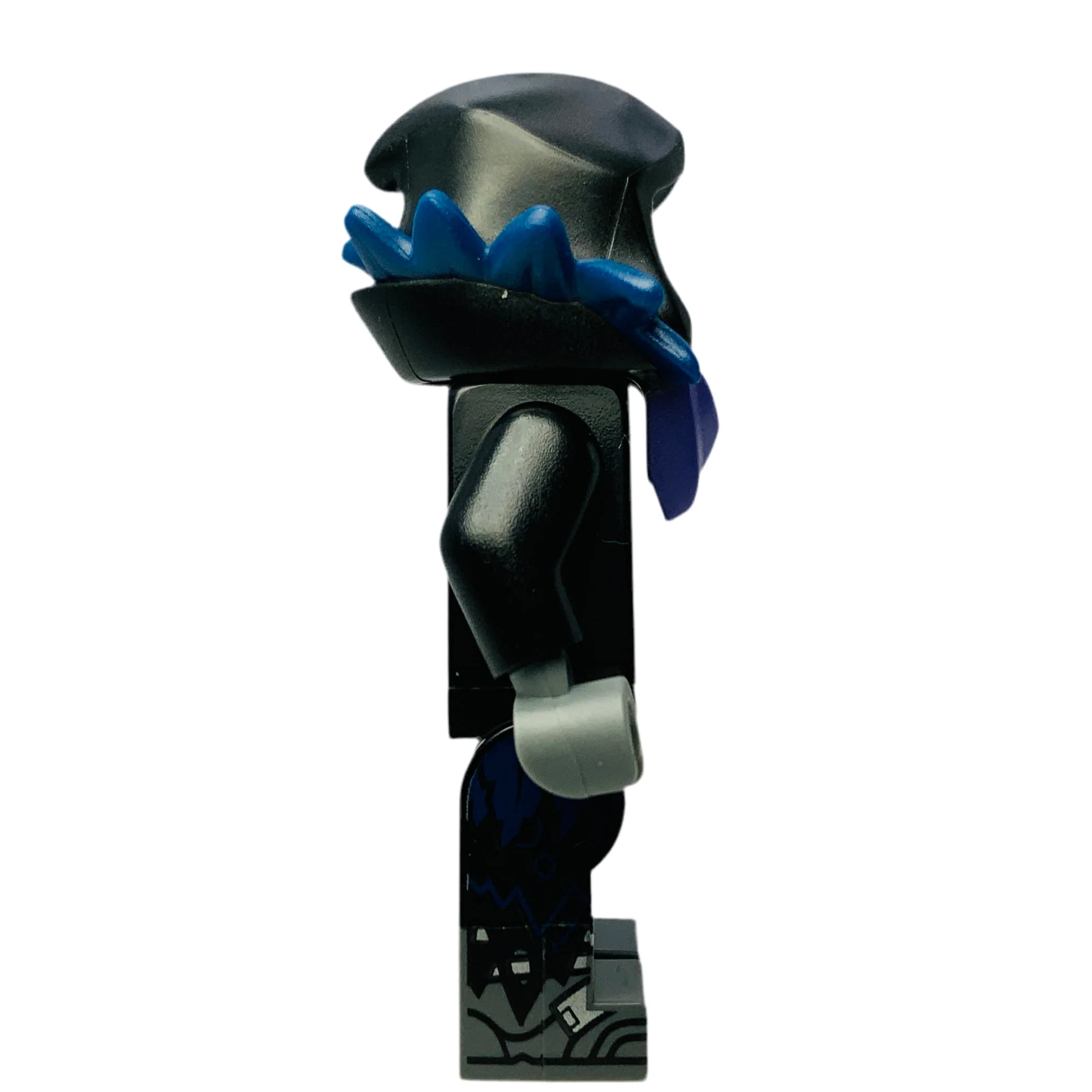 Raven, fort009 - Image 2
