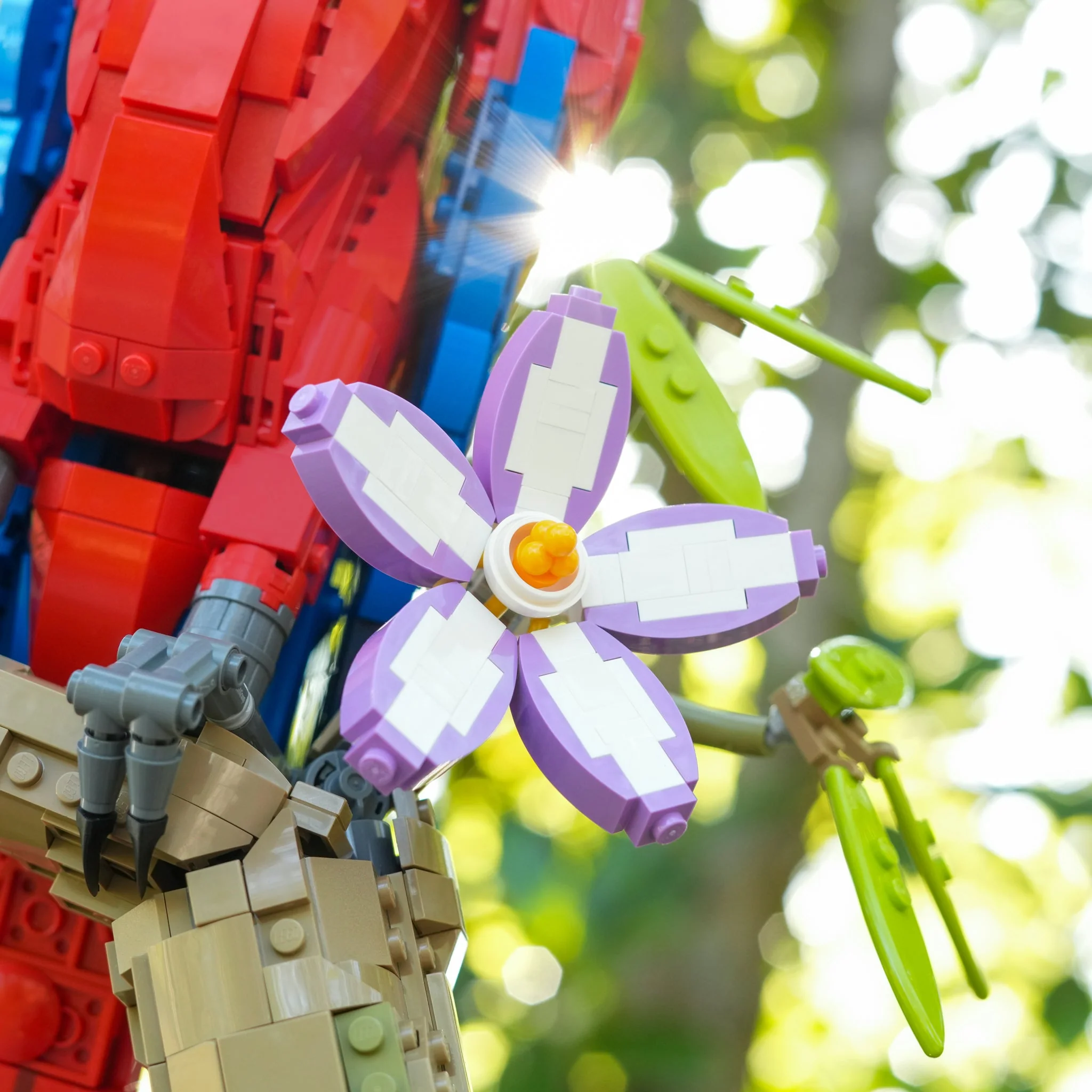 Scarlet Macaw - Image 2