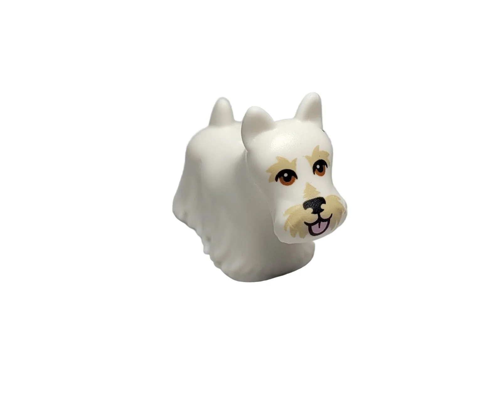 Scottish Terrier, 83188pb03