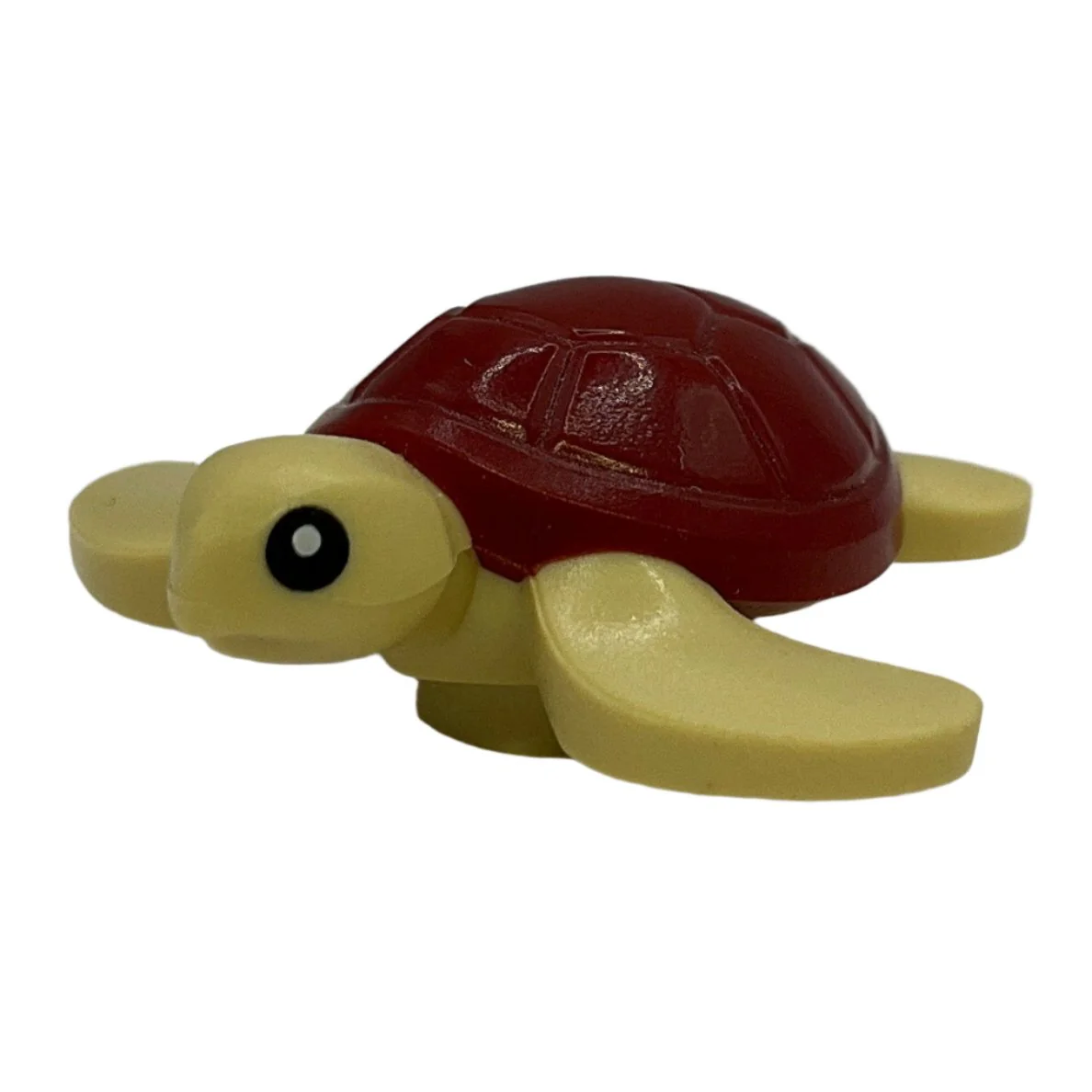Sea Turtle Baby with Dark Red Shell, 67040pb02