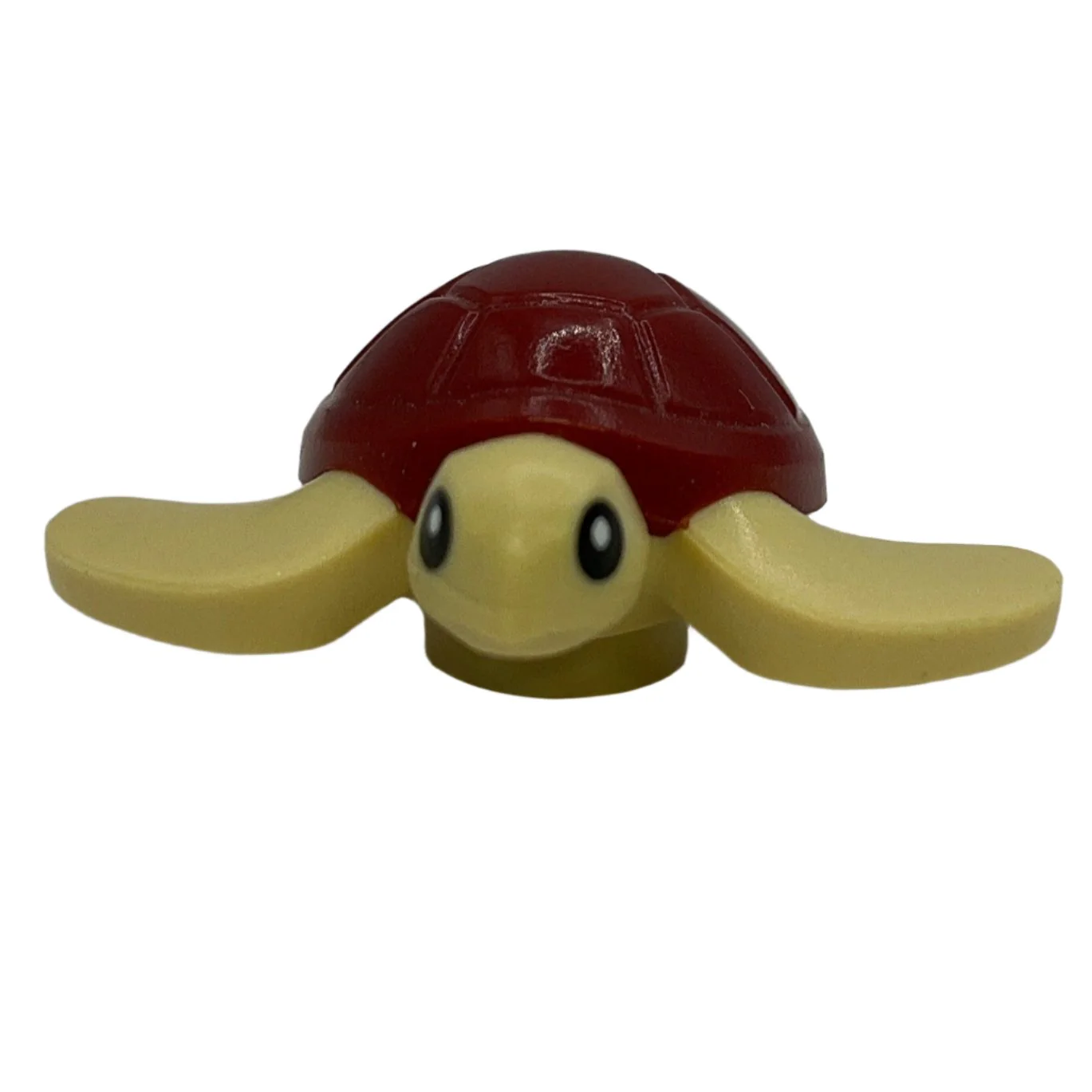 Sea Turtle Baby with Dark Red Shell, 67040pb02 - Image 3