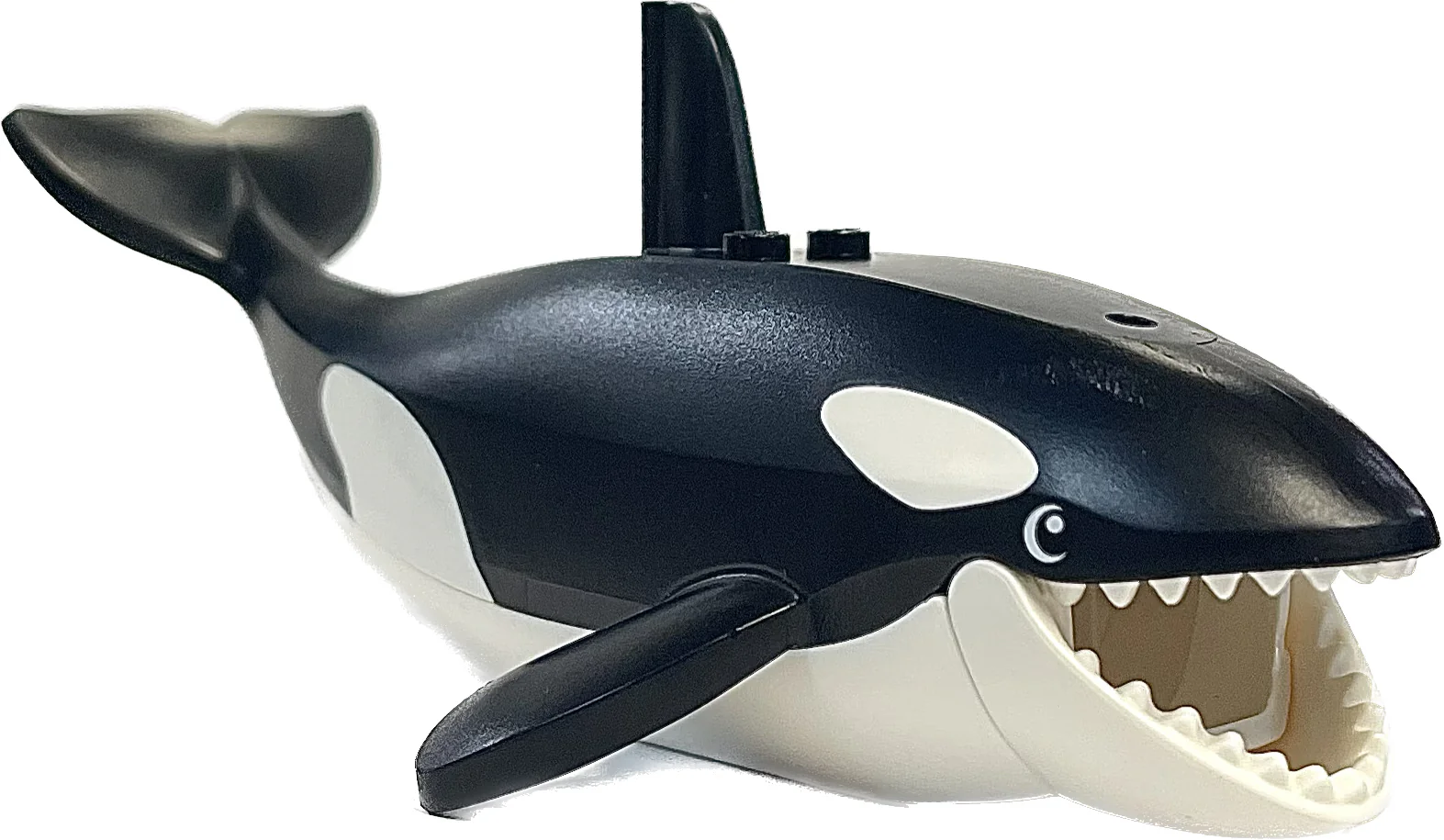 Whale / Orca, bb1319pb01c02 - Image 3