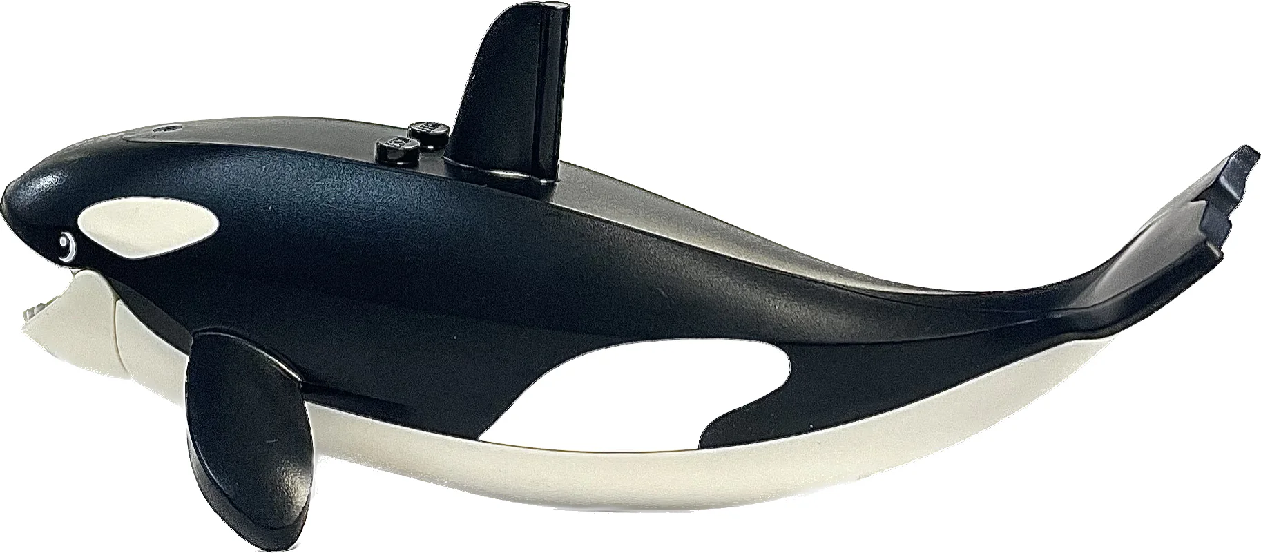 Whale / Orca, bb1319pb01c02 - Image 4
